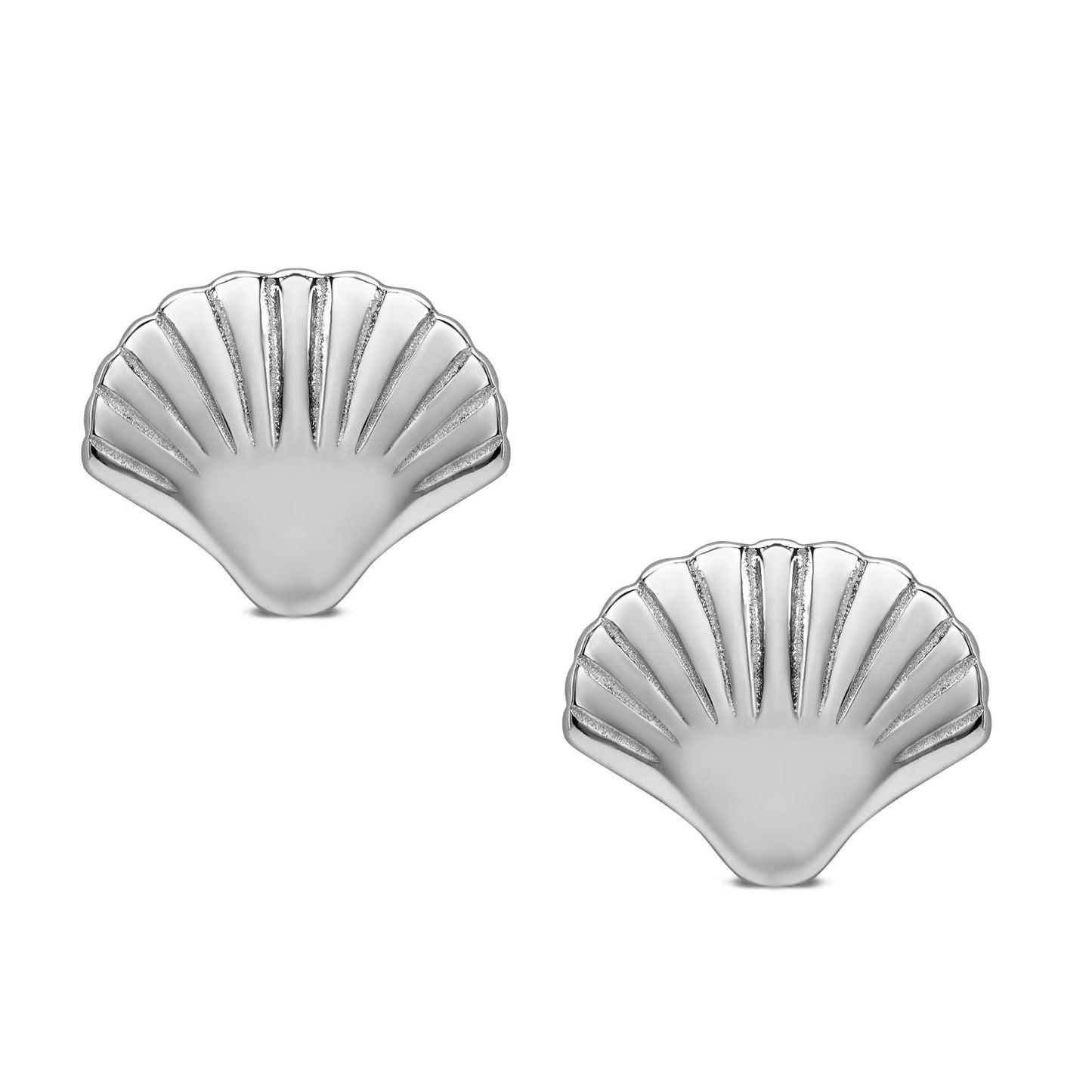 Sea Shell Stud Earrings In Sterling Silver