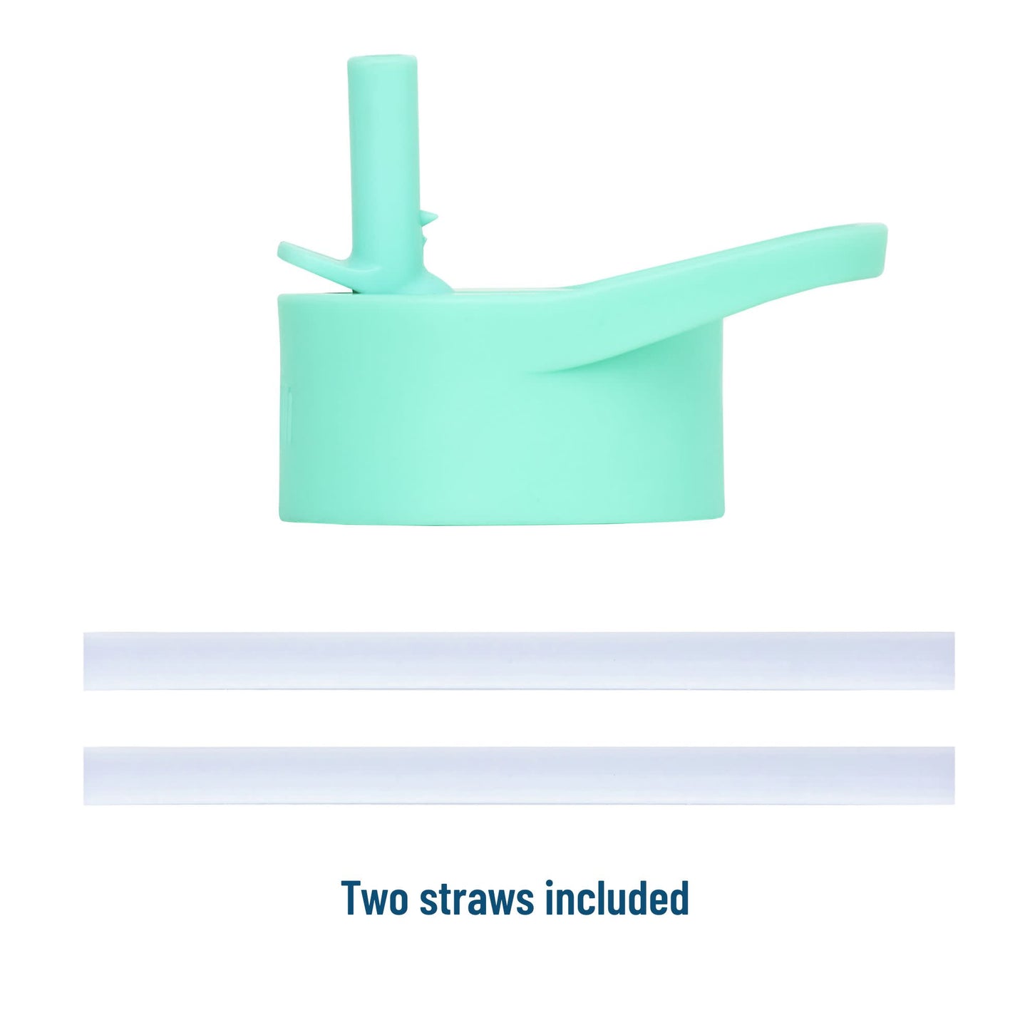 Darling Dinosaurs 14 oz Steel Bottle