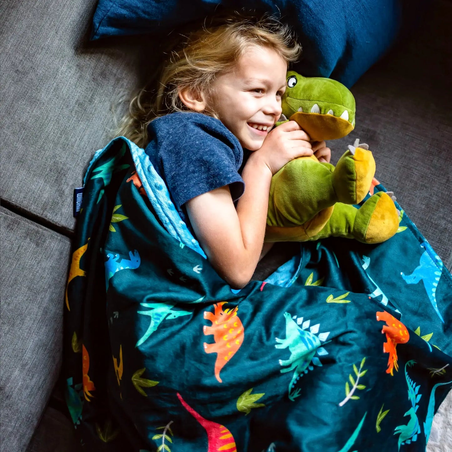 Jurassic Dinosaurs Plush Blanket