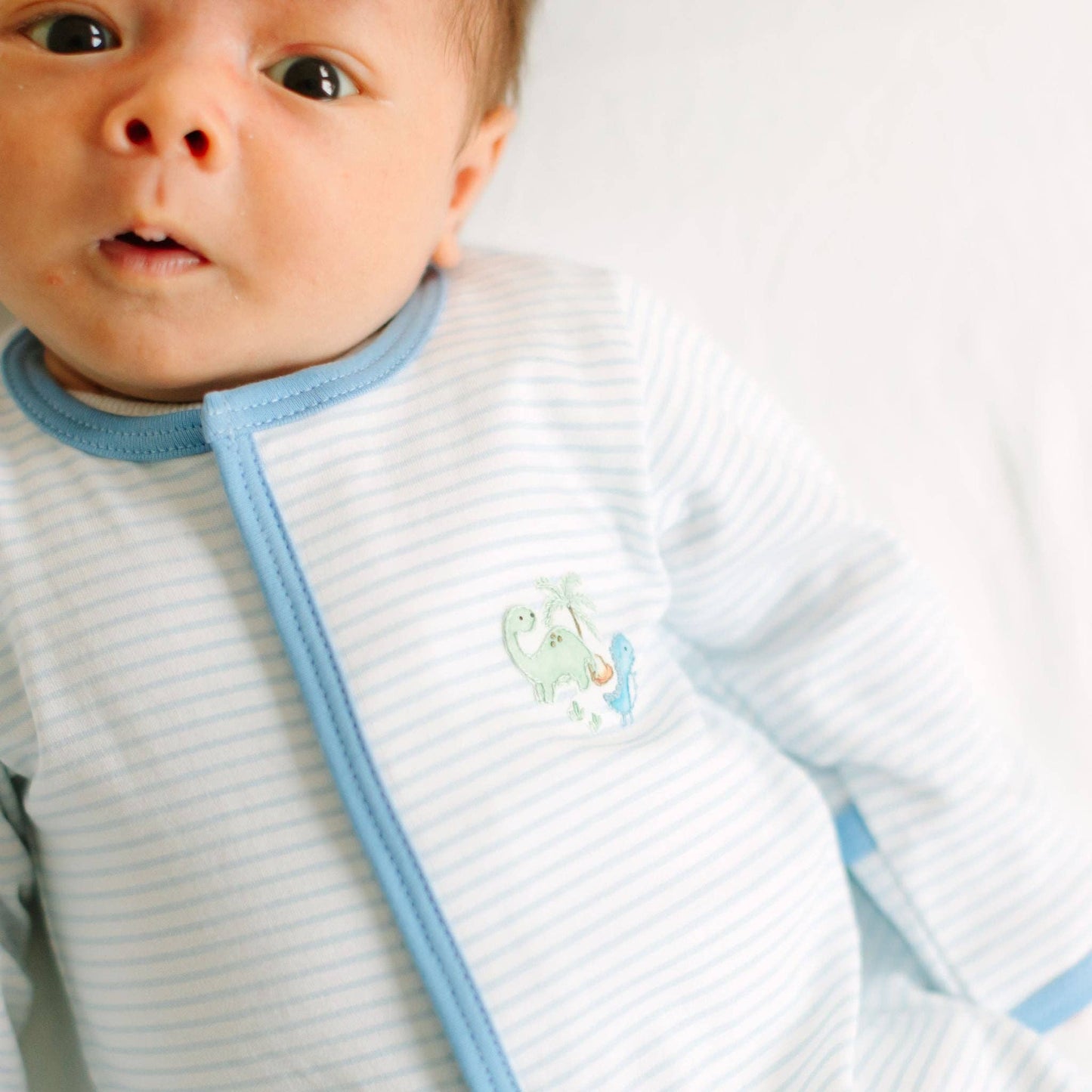 Dino - Land Embroidered Footie