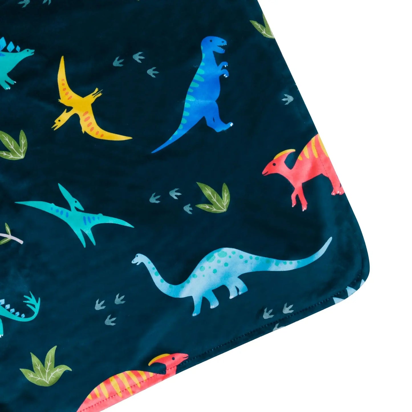 Jurassic Dinosaurs Plush Blanket