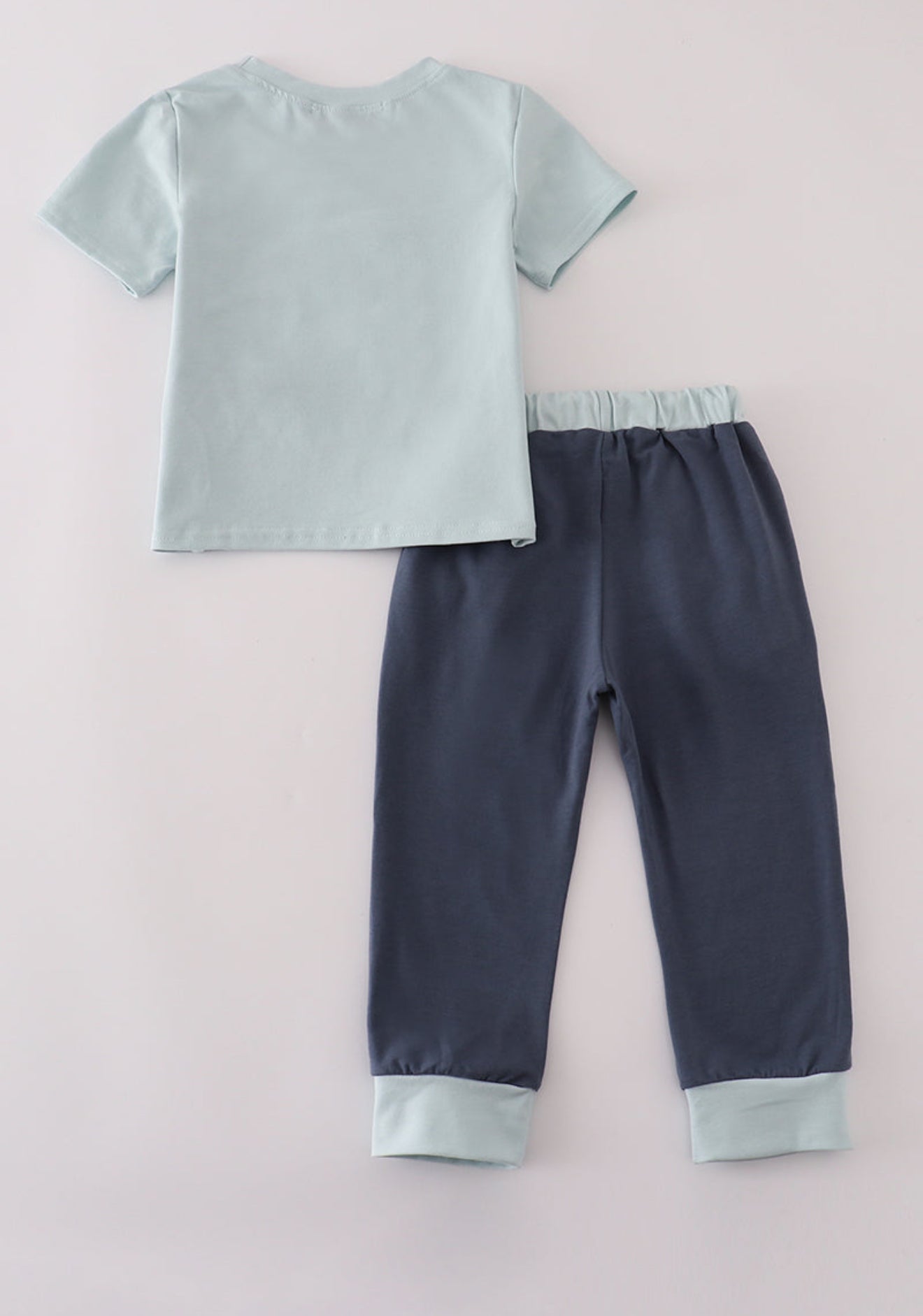 Blue embroidery pants set