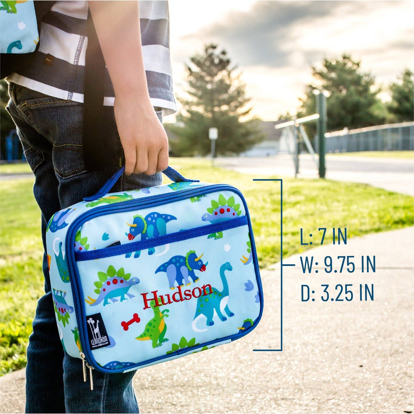 Dinosaur Land Lunch Box