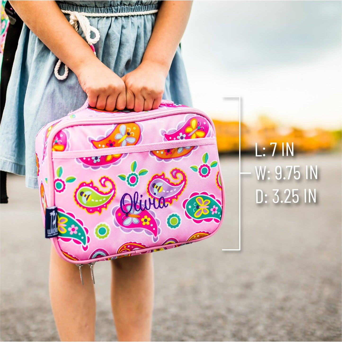 Paisley Lunch Box